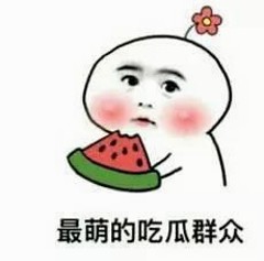 网红宠物墙仔意外走红，萌态与正能量兼备