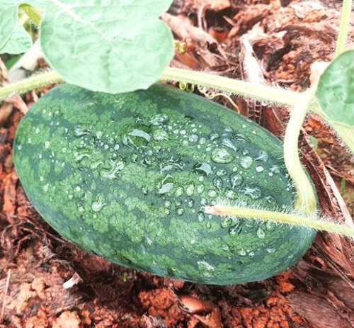 从分离到重逢：五对明星夫妻复婚背后的情感轨迹