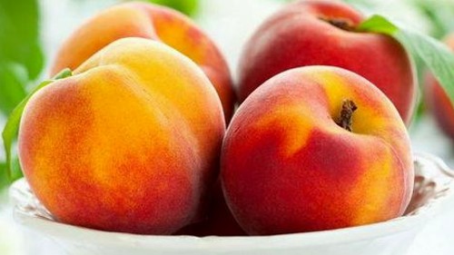 娱乐圈吃瓜达人刘佳持续发酵，张予曦与娱乐吃瓜酱也备受关注