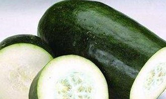 警花张津瑜3P落地窗事件全解析，背后真相曝光