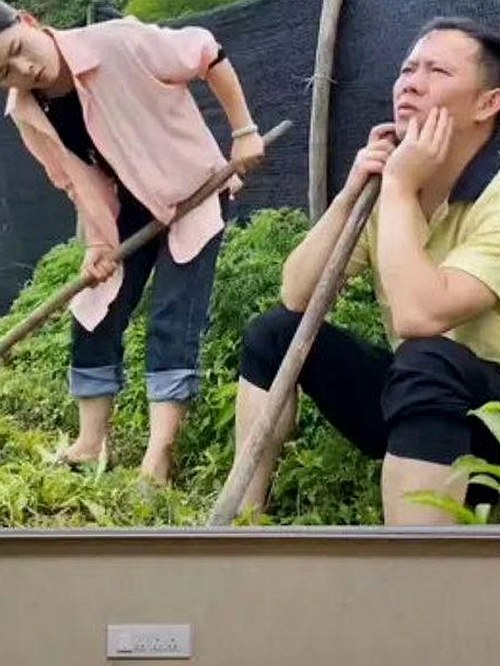 台湾地道美味探秘：吃瓜博主的味觉冒险记🍜