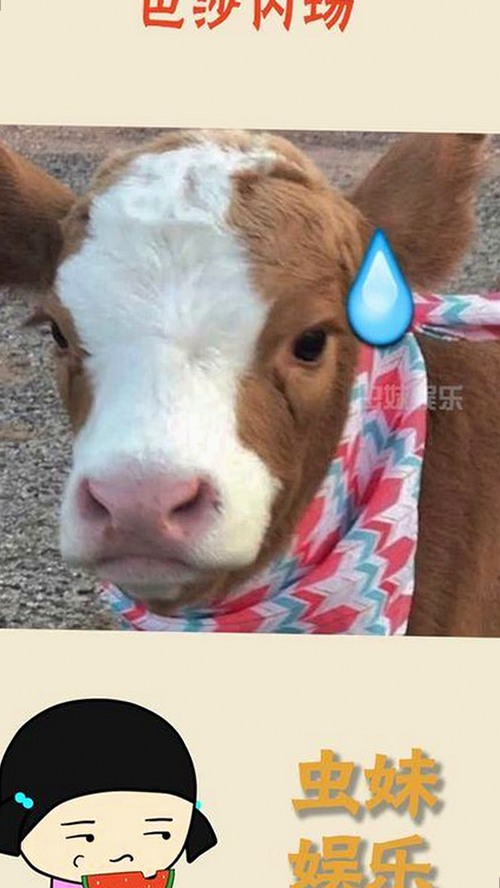 陈伟霆恋情疑云与娱乐圈的复杂面纱