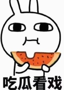 从无名小透明到娱乐圈“情报局”：揭秘“娱乐吃瓜菌”账号背后的成长轨迹