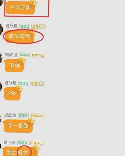 杨紫与张家辉：银幕背后的默契与友谊