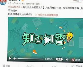 娱乐圈风云再起：光环背后的甜蜜与辛酸，瓜田里的真相与坚持