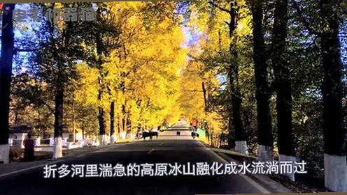 西红柿先生的乡村红火与砀山夏日吃瓜的清凉对比