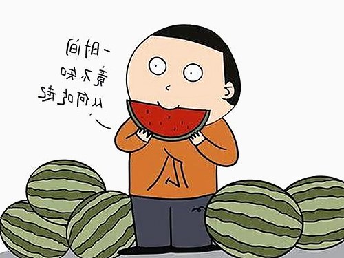 中华田园犬“小黑”走红背后的公益力量与娱乐圈热点速览