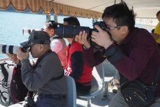 从综艺热潮到国产品牌崛起：近期娱乐与产业动态全梳理